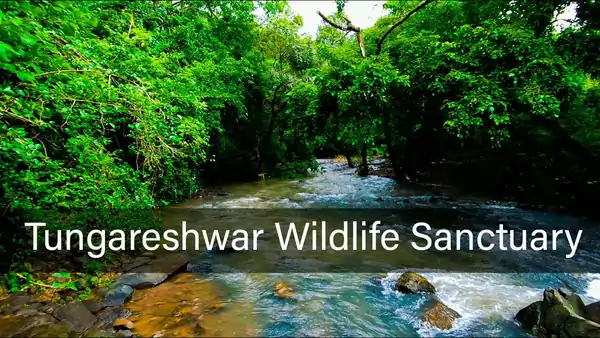Tungareshwar Wildlife sanctuary best places to visit in virar